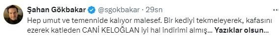 Kedi Eros'un katilinin serbest bırakılması ünlü isimleri ayaklandırdı! Cumhurbaşkanı Erdoğan'a çağrı - Sayfa 4