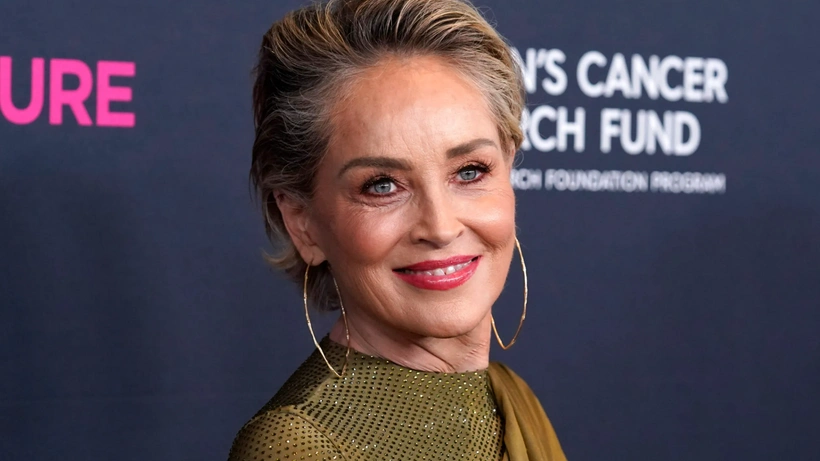 Sharon Stone'a ahlaksız teklif... Kendisini cinsel ilişkiye zorlayan isimleri ifşa etti - Sayfa 4