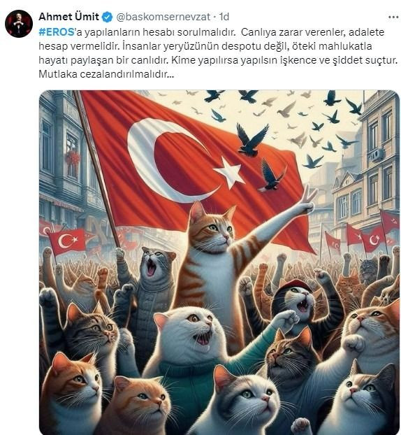 Kedi Eros'un katilinin serbest bırakılması ünlü isimleri ayaklandırdı! Cumhurbaşkanı Erdoğan'a çağrı - Sayfa 7