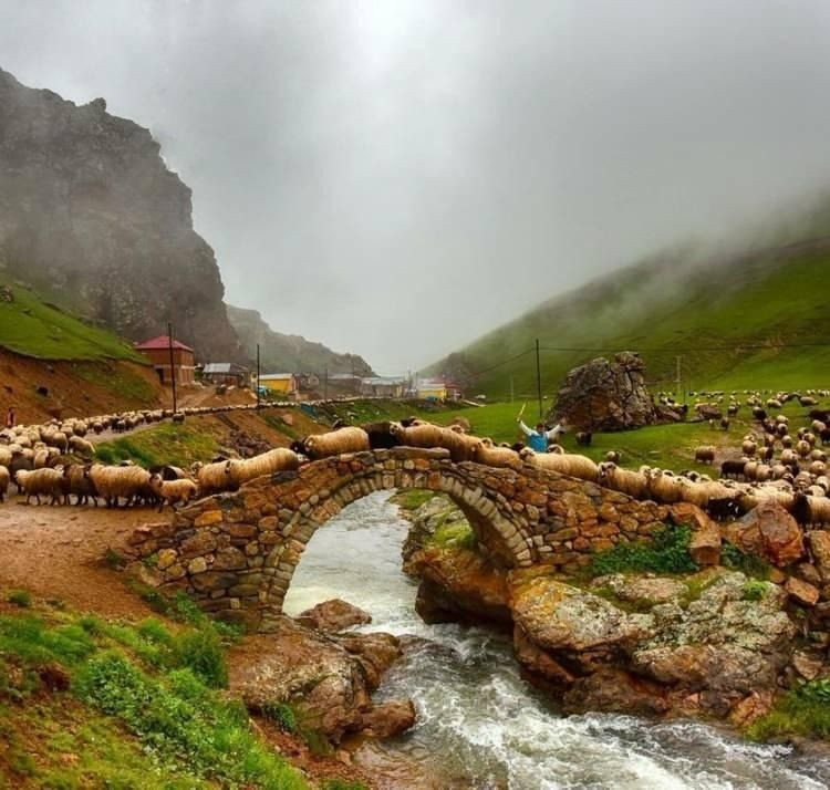 Türkiye'de yaşamın en uzun olduğu iller belli oldu! Zirve şaşırttı - Sayfa 9