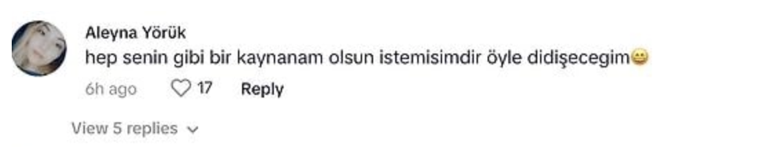 Uzun zaman sonra bir ilk! Yaprak Dökümü'nün 'Cevriye Hanım’ının son hali şaşırttı - Sayfa 9