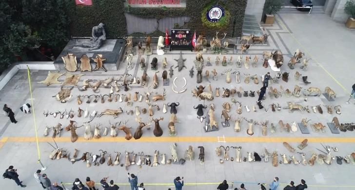 İş adamının dehşet müzesi şaşkına çevirdi! İstanbul'da şok eden olay - Sayfa 4