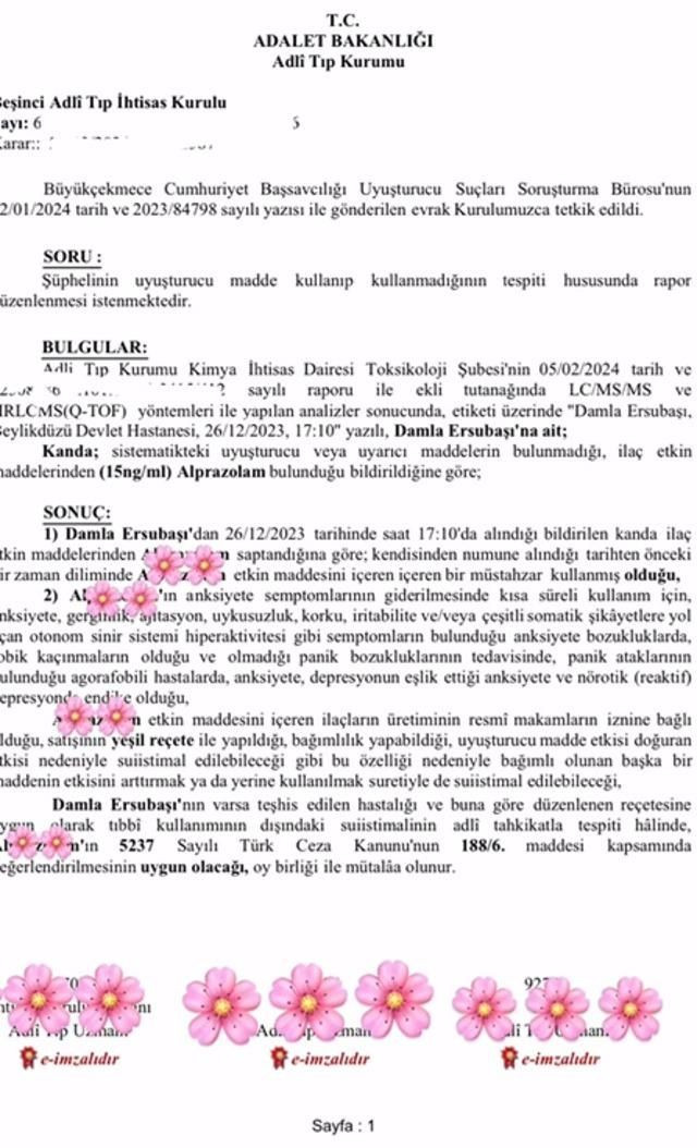 Evi arandı! Damla Ersubaşı uyuşturucu testinin sonucunu paylaştı - Sayfa 5