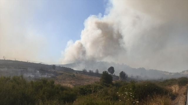 Alevler evlere kadar ulaştı! Manisa'da orman yangını saatlerdir söndürülemiyor - Sayfa 8