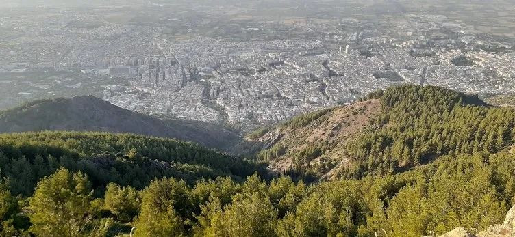 Türkiye’de en yüksek yaşam süresine sahip il belli oldu! İlk sıra herkesi şaşırttı… - Sayfa 46