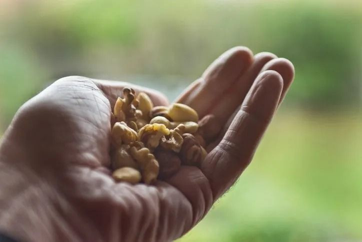 Damarlardaki tıkanıklığı yer yemez çözüyor! Kolesterol değerlerini dibe çeken mucize… - Sayfa 12