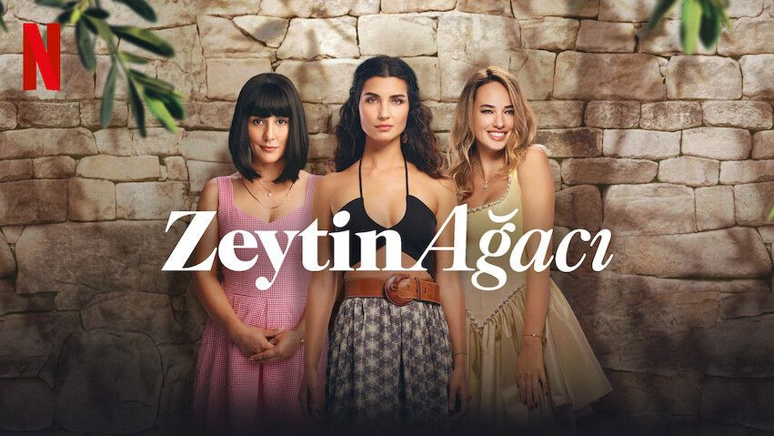 Netflix’te en çok izlenen yapımlar belli oldu! Türk yapımlar zirvede… - Sayfa 22