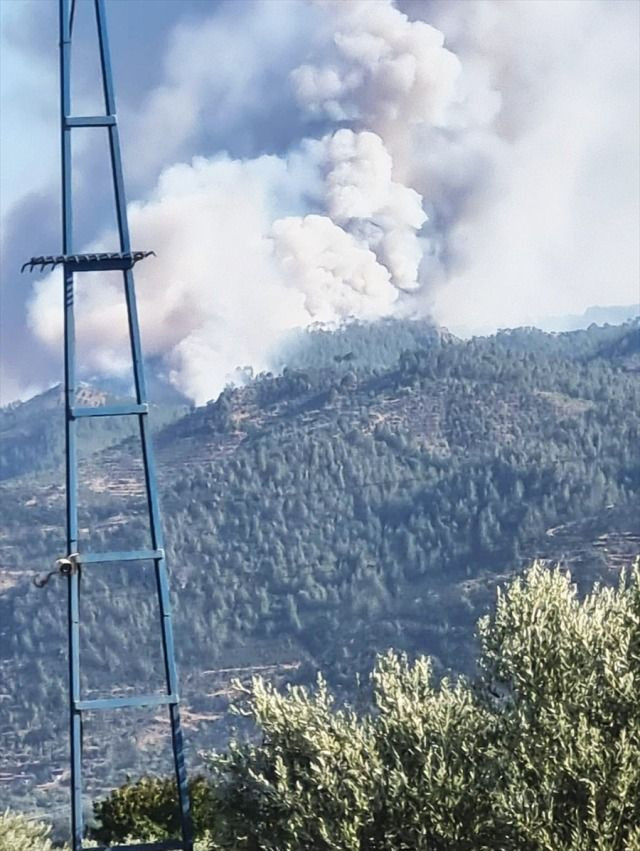 İzmir alev alev! Yangın yerleşim yerlerine kadar ulaştı! - Sayfa 13