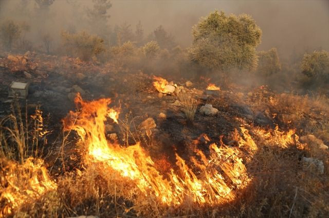 İzmir alev alev! Yangın yerleşim yerlerine kadar ulaştı! - Sayfa 7