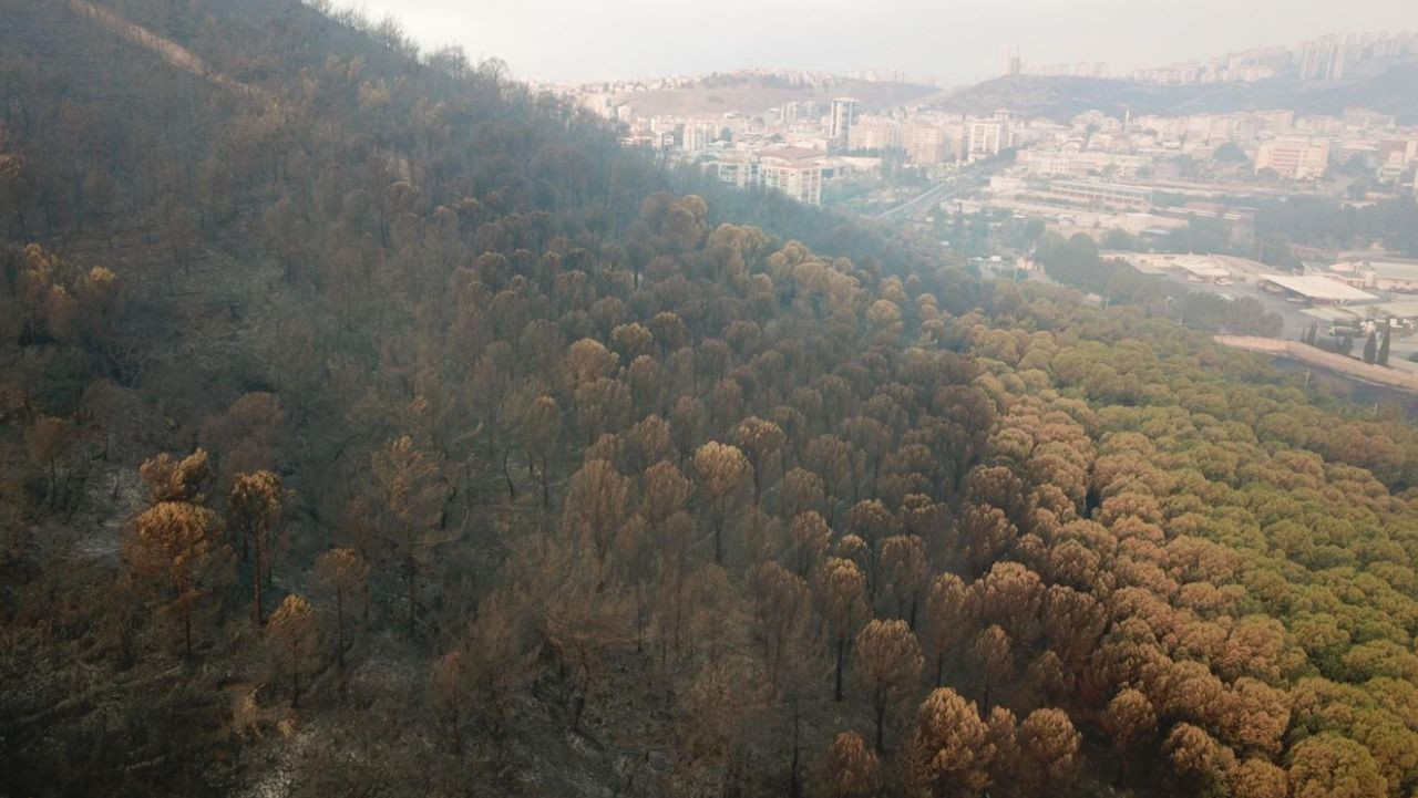 Yangın kâbusunda 3’üncü gün: Piknik ateşi İzmir’i yaktı - Sayfa 4