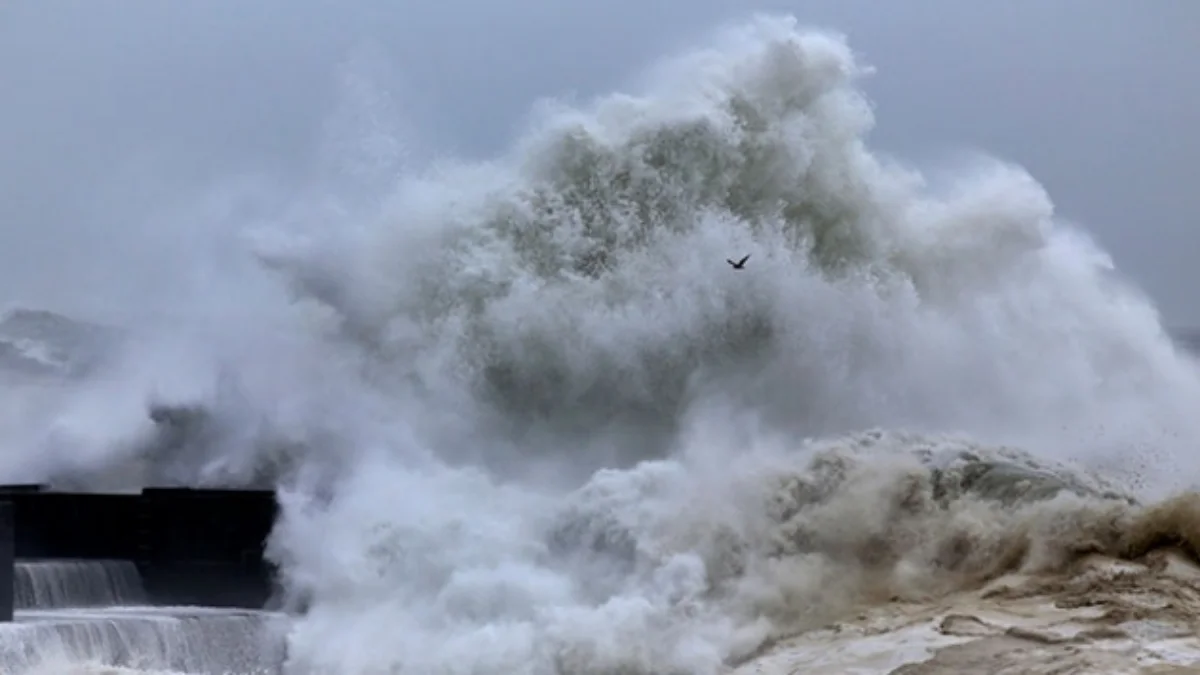 Marmara Denizi'nde tsunami kâbusu: Üç büyük çukur var! 2 bin binanın çökme riski var - Sayfa 5