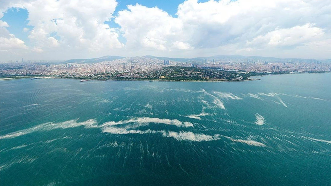 Marmara Denizi'nde tsunami kâbusu: Üç büyük çukur var! 2 bin binanın çökme riski var - Sayfa 14