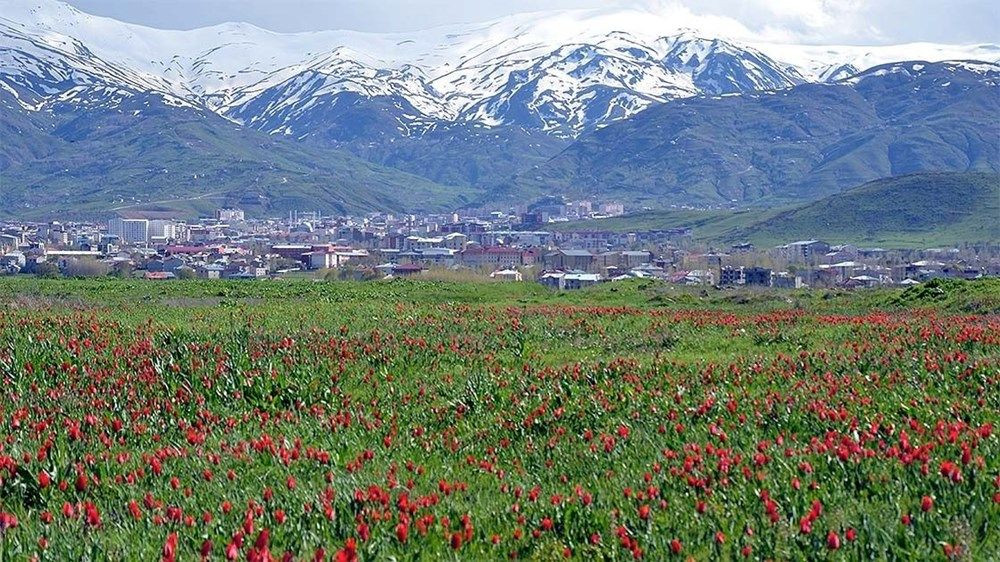 TÜİK'ten yeni araştırma: 59 ilde artacak! 22 kentte ise düşüş bekleniyor... - Sayfa 14