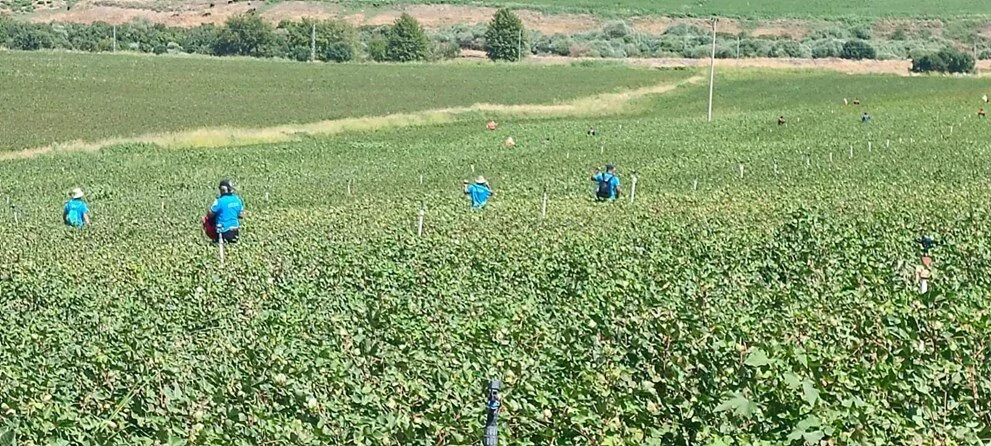 Narin'i arama çalışmaları 8. gününde: 16 kilometrelik alanda bulunamadı - Sayfa 7