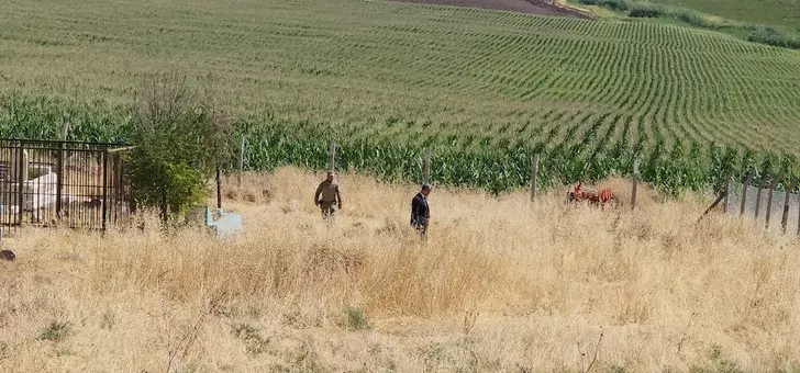 Herkesin merak ettiği soru yanıt buldu! Aile amcanın tutuklanması hakkında ne düşünüyor? - Sayfa 5