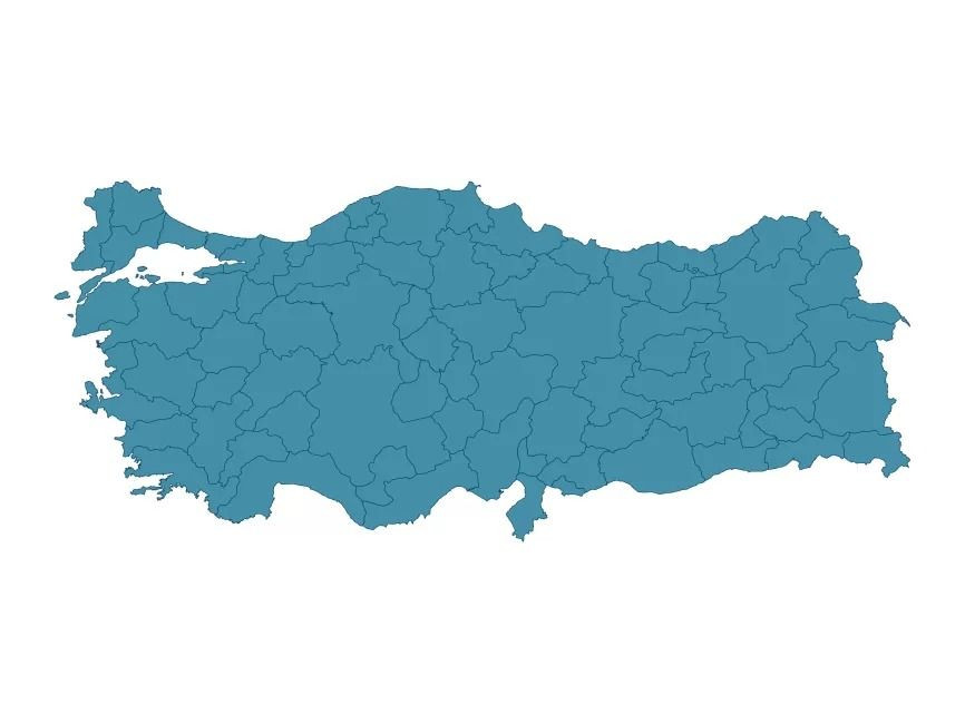 Ortalama yaşam süresi en yüksek il belli oldu! TÜİK tek tek açıkladı… - Sayfa 12