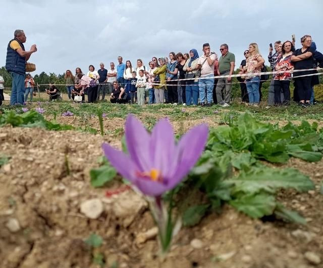 UNESCO listesinde yer alıyor kilosu 320 bin lira! Üreticisini zengin ediyor - Sayfa 8