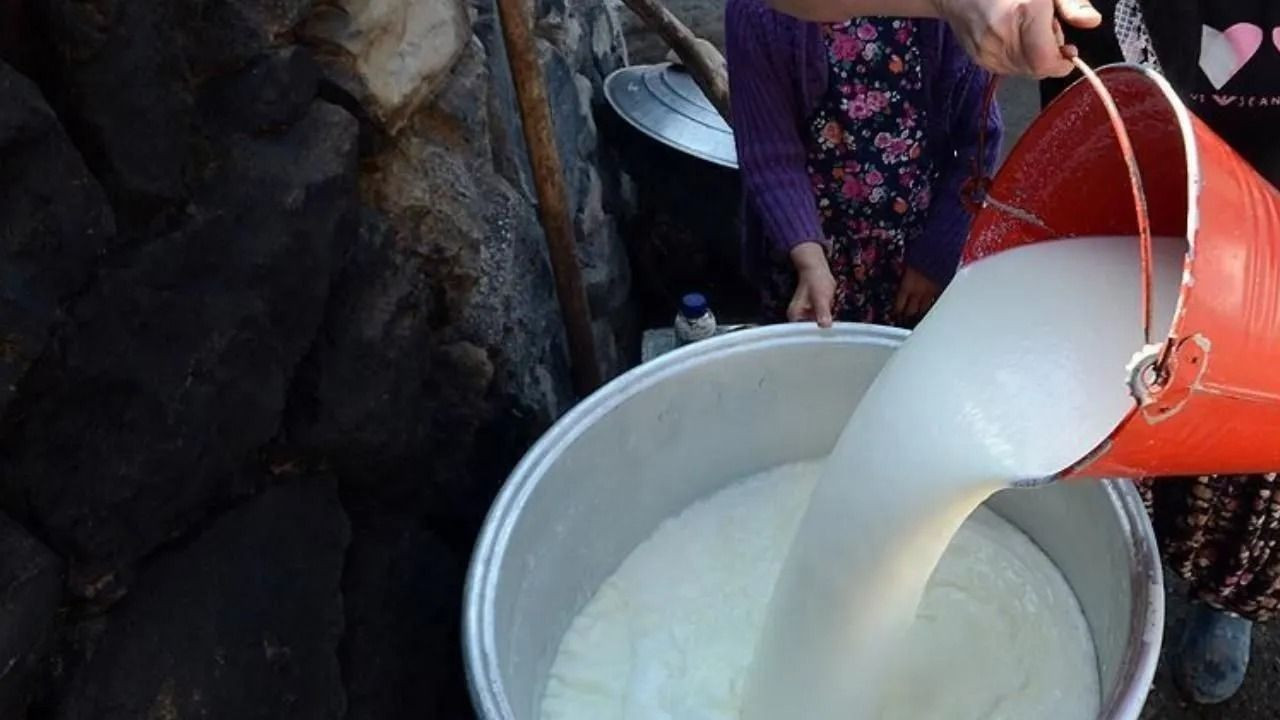 Vatandaşı böyle kandırmışlar! Marka marka açıklandı: İşte hileli süt, yoğurt, tereyağı ve peynirler - Sayfa 7