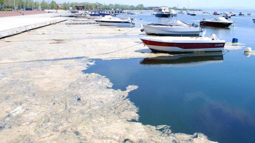 Marmara Denizi ile ilgili korkutan uyarı! "Geri döndü her yere yayıldı" - Sayfa 13