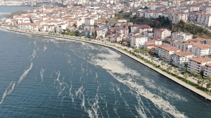 Marmara Denizi ile ilgili korkutan uyarı! "Geri döndü her yere yayıldı" - Sayfa 12