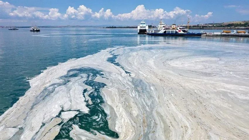 Marmara Denizi ile ilgili korkutan uyarı! "Geri döndü her yere yayıldı" - Sayfa 8