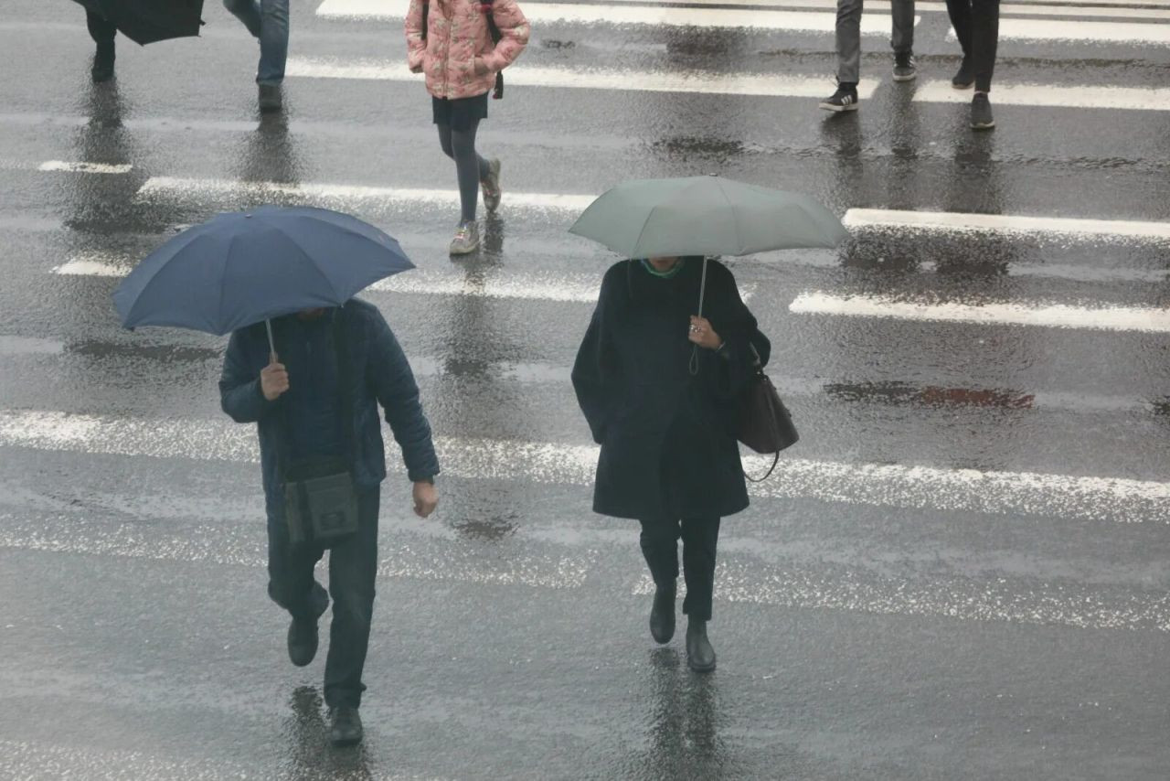 Kar, sağanak, fırtına... Meteoroloji saat verdi, İstanbul dahil birçok ili kuvvetli vuracak - Sayfa 2