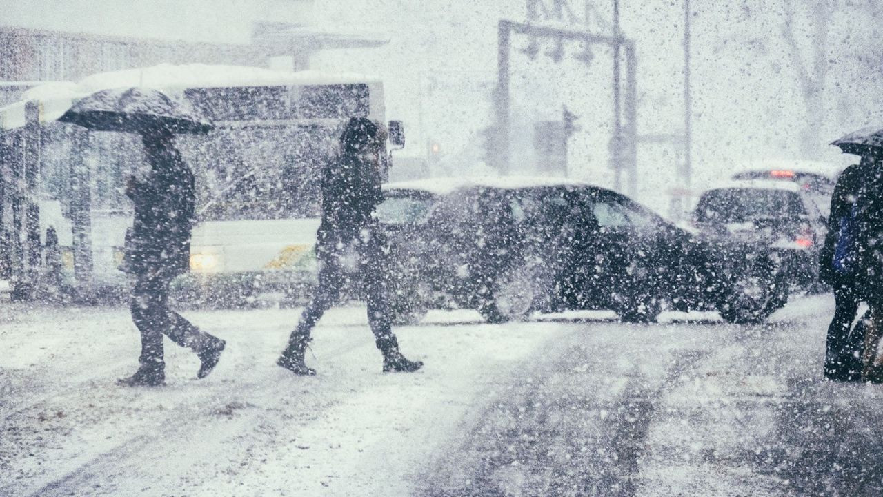 Sağanak, kar, lodos... Meteoroloji sarı ve turuncu kodla uyardı, günlerce sürecek - Sayfa 14