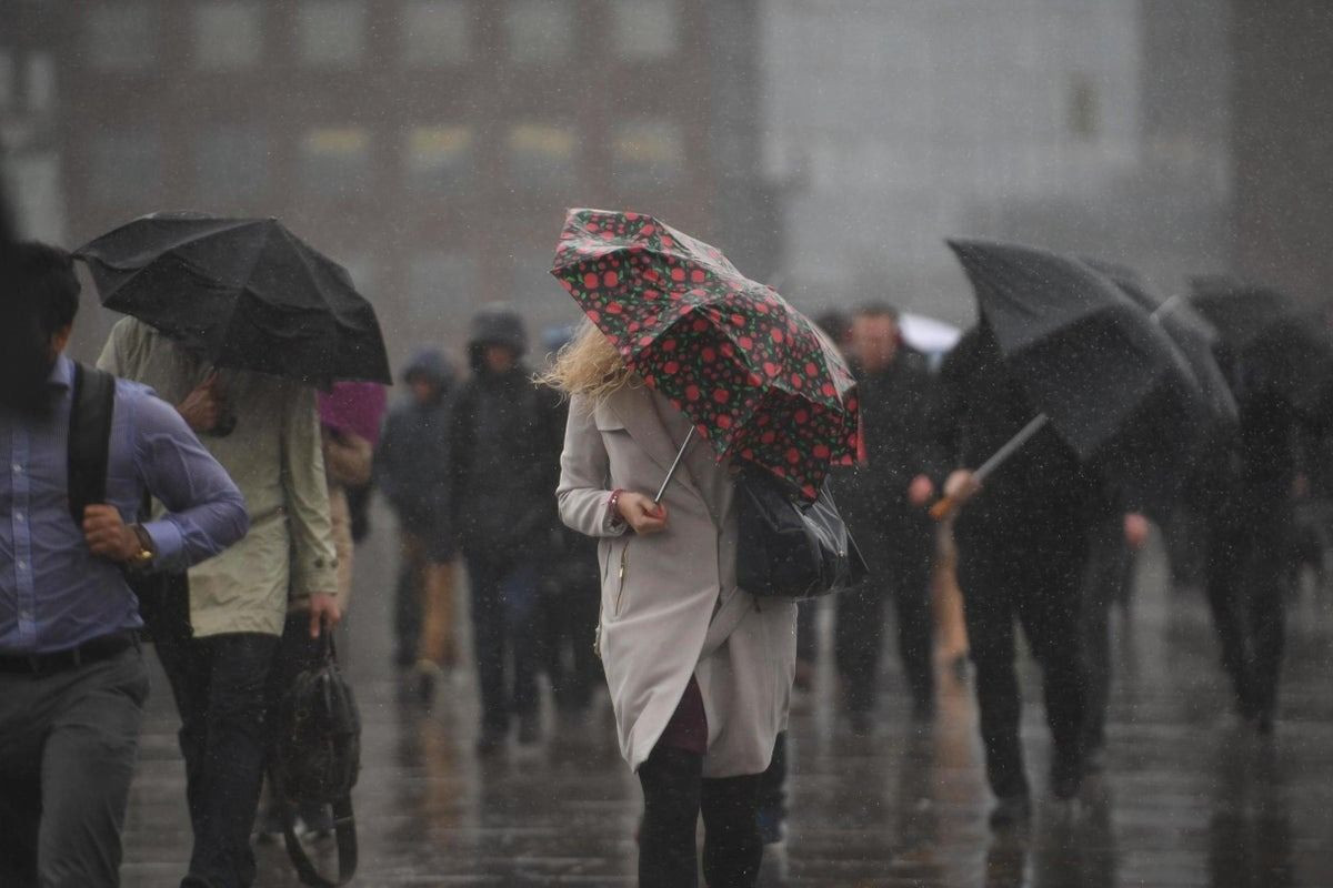 Sağanak, kar, lodos... Meteoroloji sarı ve turuncu kodla uyardı, günlerce sürecek - Sayfa 9