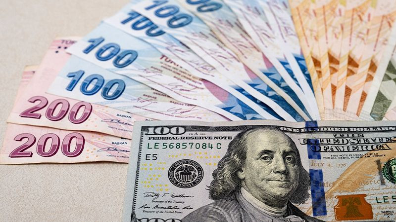 Yabancı bankalardan 2025 yılı için dolar/TL tahminleri! Yüzde vererek açıkladılar… - Sayfa 3