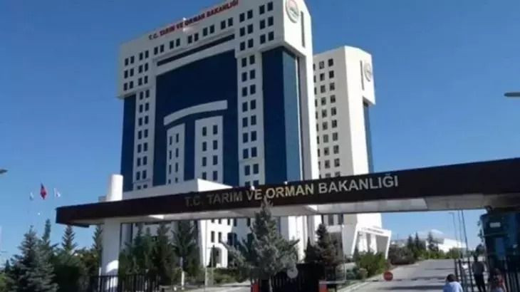 TARIM VE ORMAN BAKANLIĞI PERSONEL ALIMI 2025 KADRO VE BRANŞ DAĞILIMI: Başvuru şartları ve tarihleri - Sayfa 3