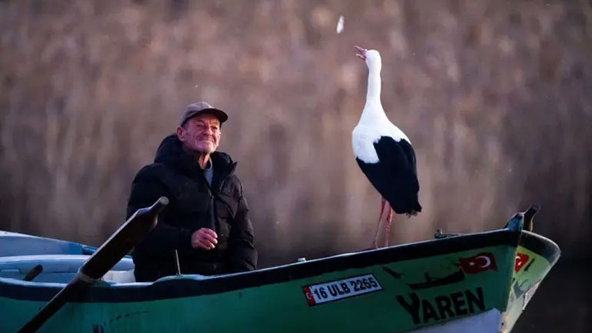 Herkes onu bekliyordu! Yaren Leylek 14. yılda da göçüp geldi: Artık 6 ay beraberiz - Sayfa 1