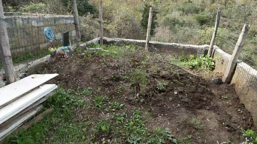 Yıllarca dede dediği kişinin itirafı hayatını değiştirdi! Yeşilçam filmlerini aratmayan olay... - Sayfa 3