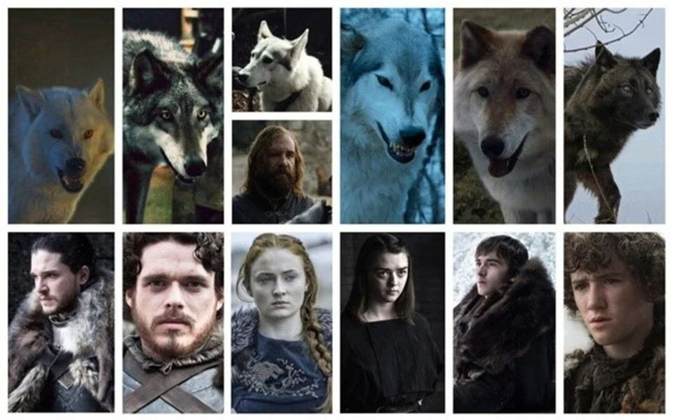 ULU KURT GERÇEK Mİ, NEDİR? Ulukurt (Dire Wolf) Gerçek Mi, Geri Mi Döndü? Ulukurt Boyutu ve Türü - Sayfa 3