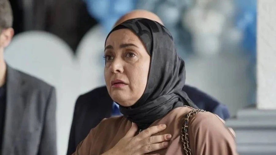 Kızılcık Şerbeti'nde Pembe gitti, yerine bomba gibi bir isim geliyor - Sayfa 1