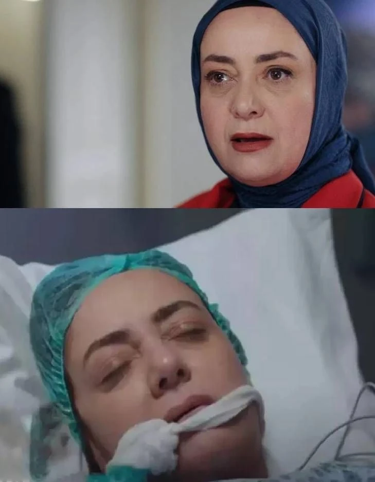 Kızılcık Şerbeti'nde Pembe gitti, yerine bomba gibi bir isim geliyor - Sayfa 2