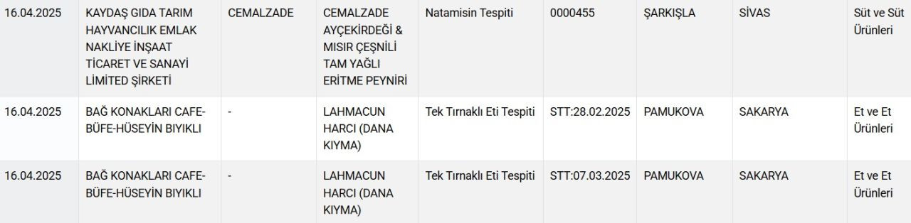 Lahmacun harcından "at eti" çıktı: Bakanlık restoranların adını ifşa etti! - Sayfa 3