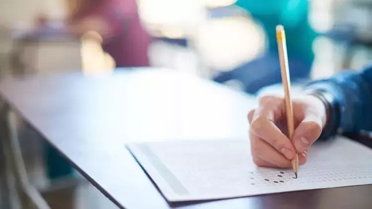 BURSLULUK SINAV SORULARI VE CEVAP ANAHTARI 2025 (PDF) - Sayfa 2