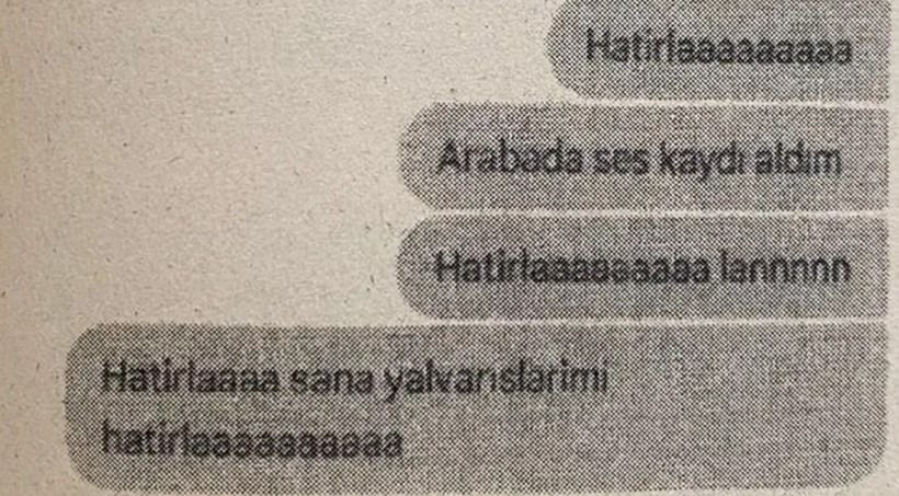 Tehdit, darp, cinsel saldırı... 'Sabıkalı' dehşeti Whatsapp ortaya çıkardı - Sayfa 4