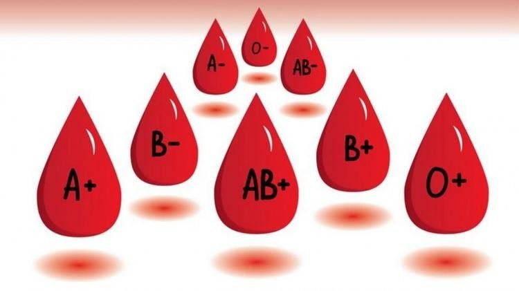 Japon bilim insanları son noktayı koydu! İşte en zeki kan grubu, hepsinden farklıymış - Sayfa 3
