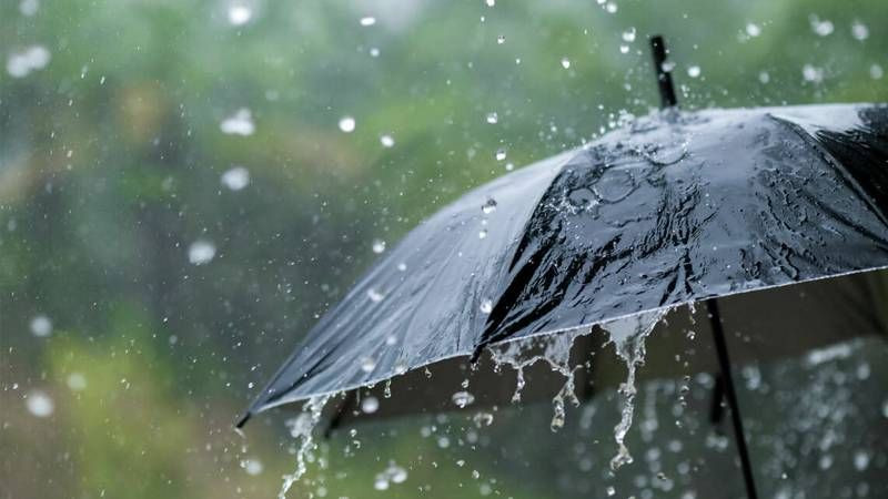 Meteoroloji'den 11 il için sarı kodlu alarm: Kuvvetli yağış ve rüzgâra dikkat! - Sayfa 3