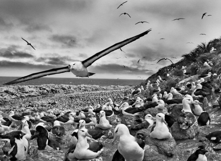 "Fazla yaşamayacağım" demişti... Dünyaca ünlü fotoğrafçı yaşamını yitirdi! - Sayfa 4