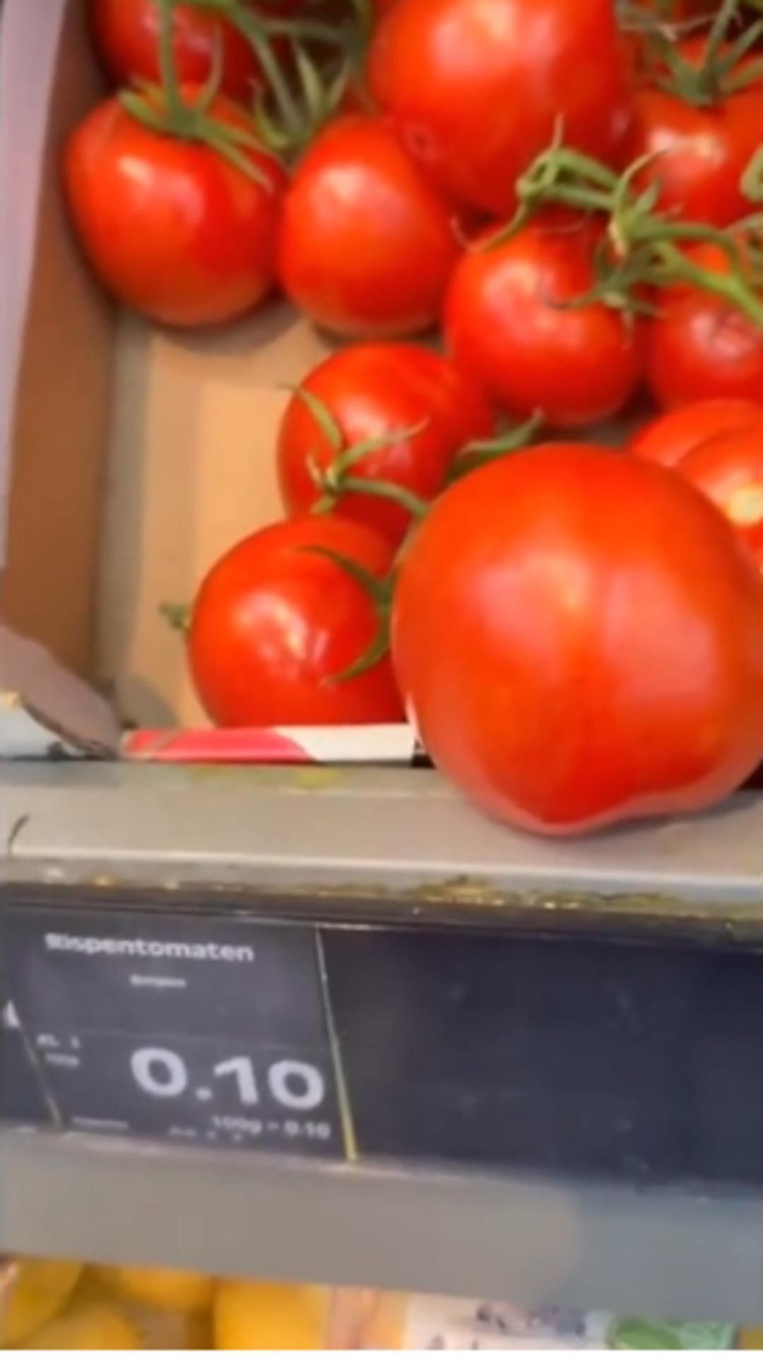 Cem Küçük "kilosu 20 euro" demişti! Mustafa Sandal Almanya’da domatesin izini sürdü - Sayfa 4