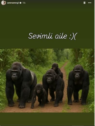 Gülben Ergen'in aile pozuna Seren Serengil'den 'Goril' iması - Sayfa 3