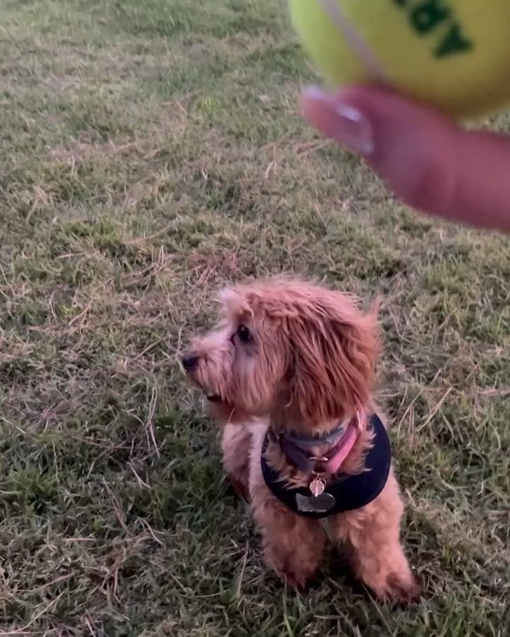 Kızıl Goncalar’ın yıldızı tatilde fırtına gibi esti! Amuda kalktığı kare olay oldu... - Sayfa 4