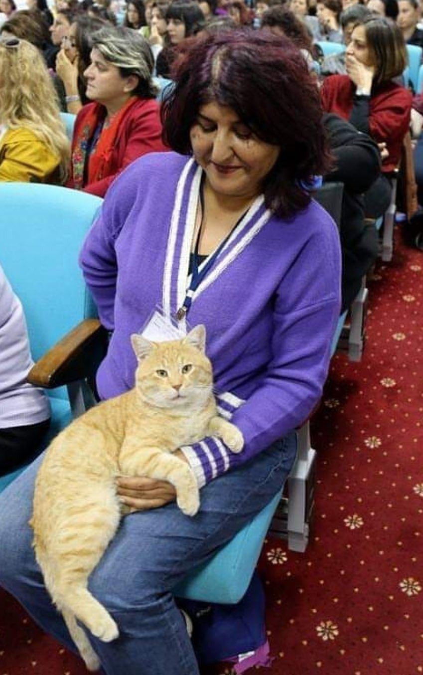 Ayşe Panuş kimdir? Ayşe Panuş neden tutuklandı? Ayşe Panuş kaç yaşında, nereli, ne iş yapıyor? - Sayfa 4