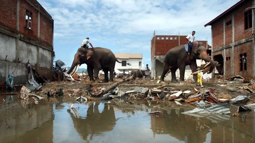 Dünya tarihinin en şiddetli 10 depremi nerelerde yaşandı? Kamçatka kaçıncı sırada... - Sayfa 1