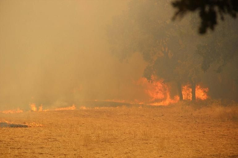 Çanakkale yangınla mücadele ediyor! Alevler devlet hastanesini sardı! - Sayfa 2