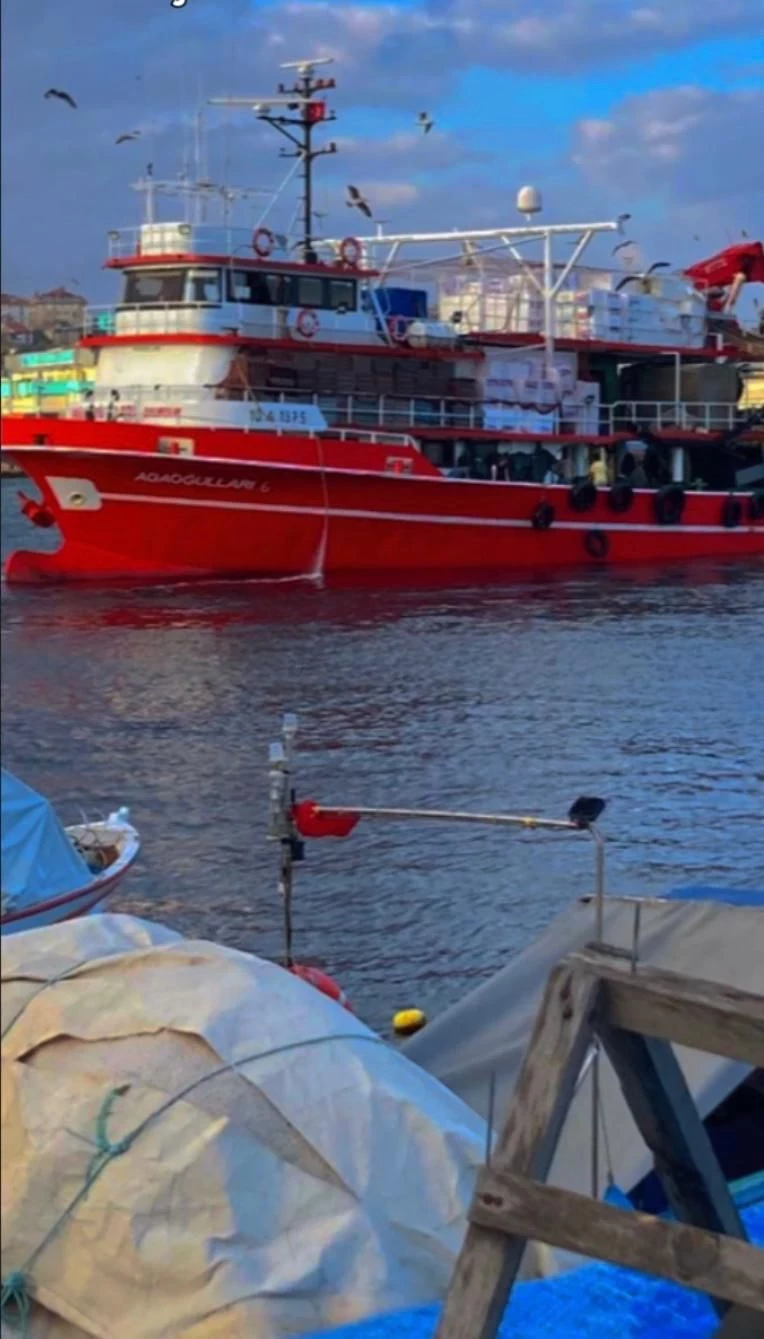Sürtünme izleri ortaya çıktı! İş insanı Halit Yukay'ın teknesine gemi mi çarptı? - Sayfa 2