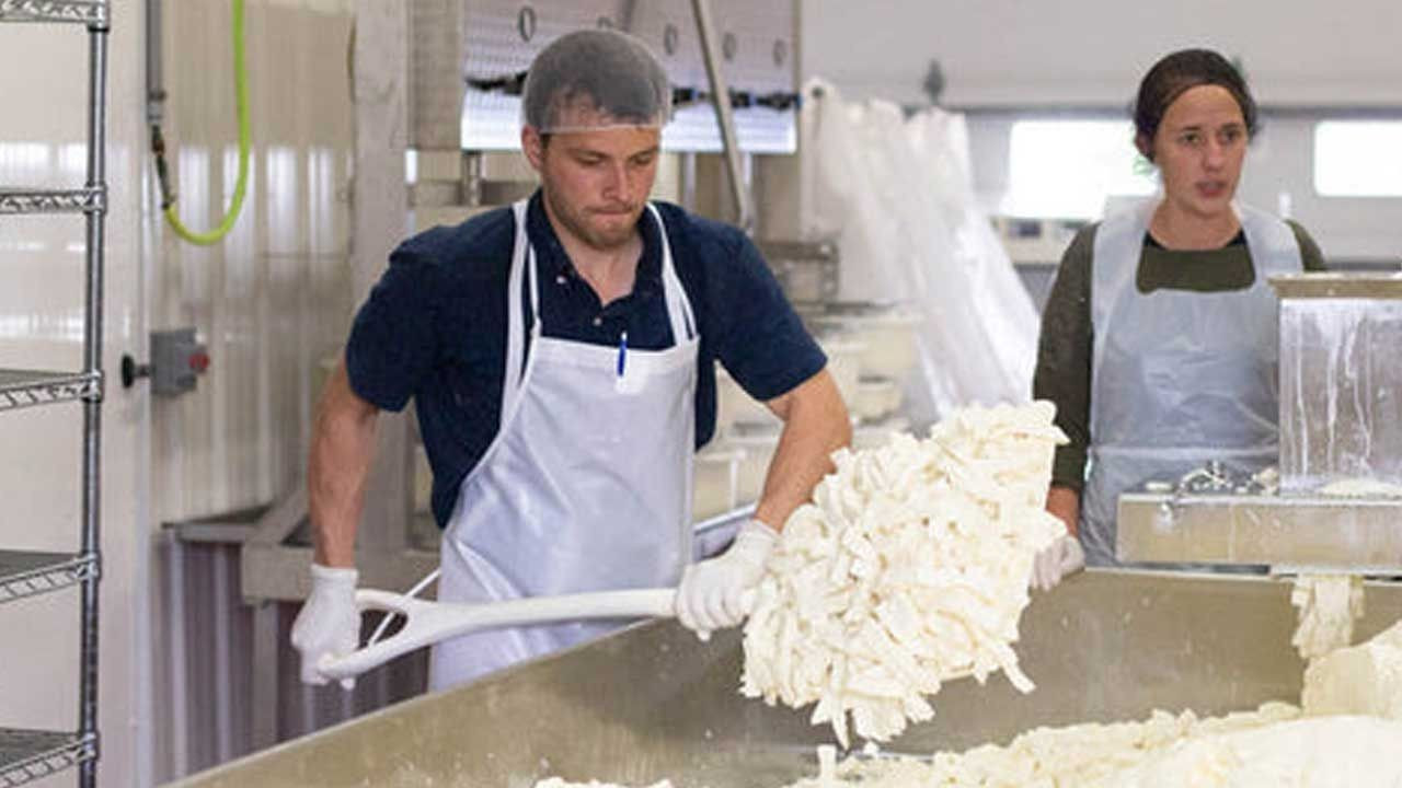 Ünlü markanın peynirleri 2 can aldı! Raflardan toplatılıyor... - Sayfa 3