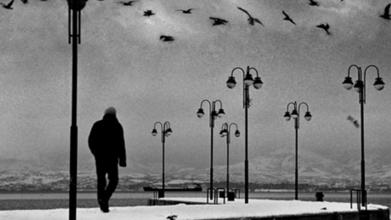 Türkiye’de yalnız yaşayanların haritası çıktı! Zirvedeki il sürpriz olmadı - Sayfa 9